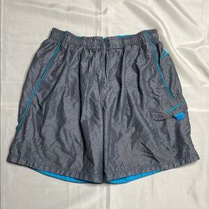 SPEEDO Gray and Blue Swim Shorts